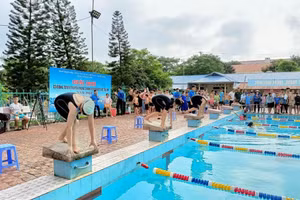 140 thiếu nhi thi đấu tại 6 nhóm bơi