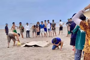 Thi thể các cháu nhỏ đã được cơ quan chức năng tìm thấy. (Ảnh: CTV).
