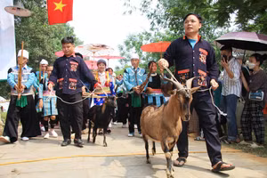 Ấn tượng với du khách là không gian xuống chợ.