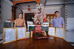 Đánh thức tiềm năng cây chè xứ Tuyên.