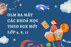 Olm.vn là website rèn luyện toán cho cấp tiểu học đến cấp phổ thông