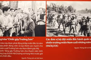 Hình ảnh được trưng bày tại triển lãm