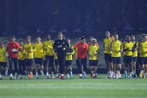 Malaysia ‘bê’ nguyên đội hình cầu thủ nhập tịch đến Asian Cup 2023 