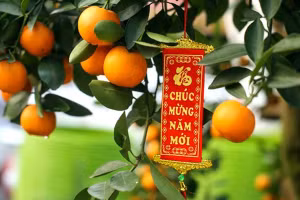 Năm 2021, trang trí nhà cửa thế nào để vượng tài, vượng lộc