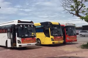 Đề xuất có thêm chứng chỉ hành nghề mới đối với lái xe kinh doanh nguy cơ tăng thêm thủ tục hành chính, gây lãng phí.
