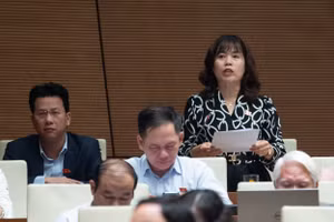 Đại biểu Lý Thị Lan (Đoàn ĐBQH tỉnh Hà Giang).