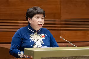 Bà Nguyễn Thúy Anh, Chủ nhiệm Ủy ban Xã hội của Quốc hội.
