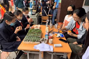 Học sinh tìm hiểu vật dụng thân thiện với môi trường.