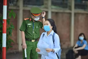 Ảnh minh họa.