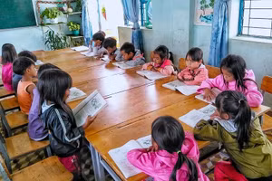 Học sinh Trường Phổ thông Dân tộc Bán trú Tiểu học và THCS Kon Pne (huyện Kbang, tỉnh Gia Lai). Ảnh minh họa