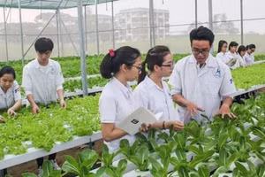 Đào tạo nghề tại nông thôn và xu thế phát triển nông nghiệp mới