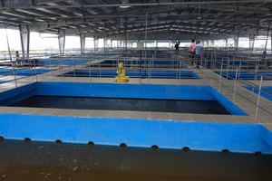 Nhà máy nước Hòa Liên. Ảnh: Hoàng Vinh. 