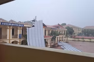 Ảnh minh họa