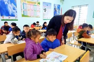 Ảnh minh họa.