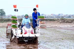 Bí thư Tỉnh ủy Vĩnh Phúc Đặng Xuân Phong xuống đồng cấy máy, động viên nông dân xã Phú Xuân (Bình Xuyên). (Ảnh: Chu Kiều)