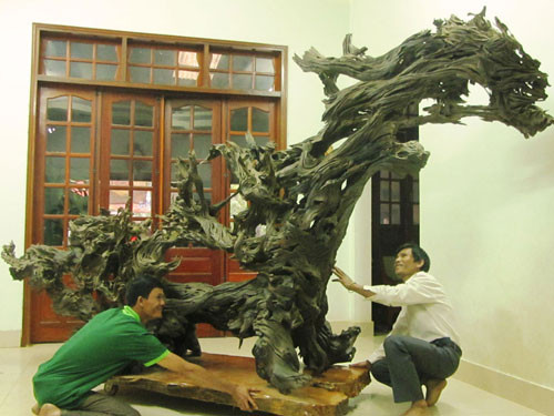 gốc-cây, tiền-tỷ, gốc-sưa, siêu-phẩm, đồ-gỗ, gỗ-trắc, gỗ-lũa, cây-bàng, gốc-trâm, cây-đa, hóa-thạch, ngàn-năm gốc-cây, tiền-tỷ, gốc-sưa, siêu-phẩm, đồ-gỗ, gỗ-trắc, gỗ-lũa, cây-bàng, gốc-trâm, cây-đa, hóa-thạch, ngàn-năm