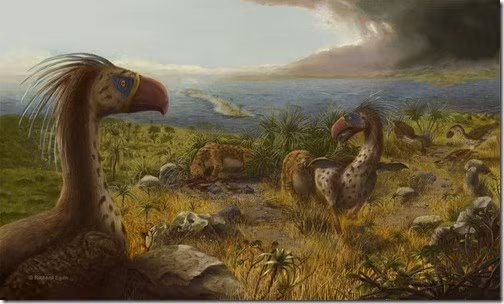 10 loài chim tiền sử ác hiểm nhất từng được biết đến ảnh 5