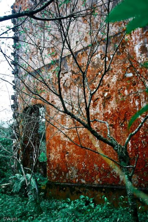 1239951-10201580346244782-602310753-n.jp