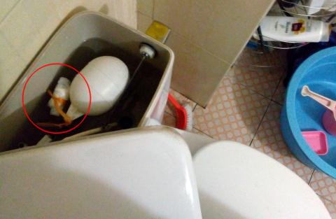 Những tuyệt chiêu giấu tiền qua mắt vợ của đàn ông Việt ảnh 1