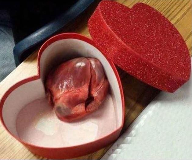 Quà 20/10 bá đạo của các ông chồng khiến vợ khóc không được, cười chẳng xong-4