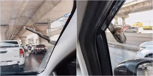 Hú hồn cảnh tượng giải cứu bé Na béo ú bị mắc kẹt trong động cơ xe máy-3