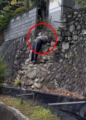 Bức ảnh kinh dị chiếm spotlight MXH, biết sự thật ai cũng tự nhận mình tối cổ-1