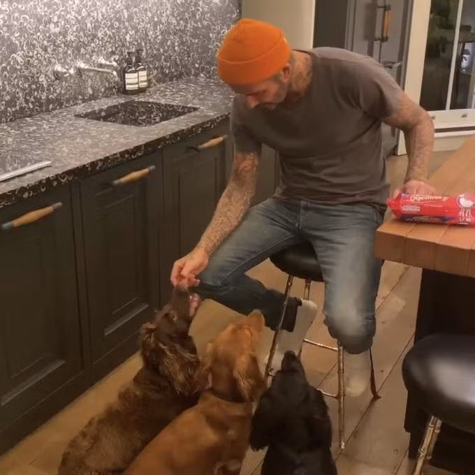 Bên trong nhà 31 triệu bảng Anh của David Beckham-1