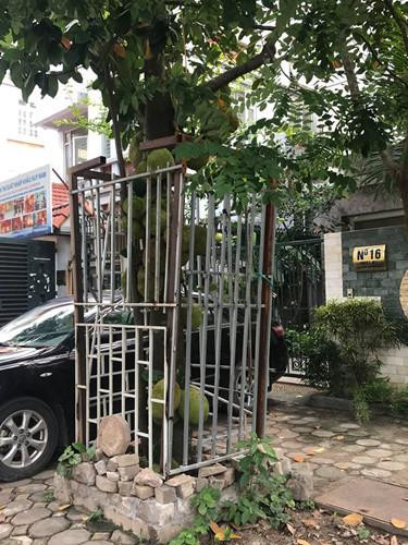 Series chống trộm trái cây chẳng khác gì "thiên la địa võng" ảnh 6 Series chống trộm trái cây chẳng khác gì thiên la địa võng thách thức kẻ xấu-6