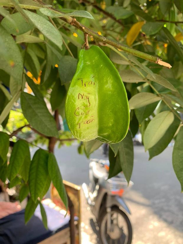 Series chống trộm trái cây chẳng khác gì "thiên la địa võng" ảnh 1 Series chống trộm trái cây chẳng khác gì thiên la địa võng thách thức kẻ xấu-1