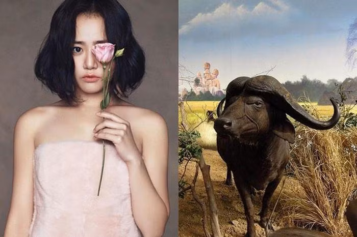 Làm kinh doanh trong tháng 3 dương, những con giáp này phải cẩn thận tiền mất tật mang-2