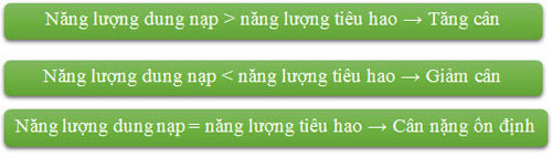 Những mẹo nhỏ giúp người gầy tăng cân nhanh. ảnh 4 Những mẹo nhỏ giúp người gầy tăng cân nhanh - 4
