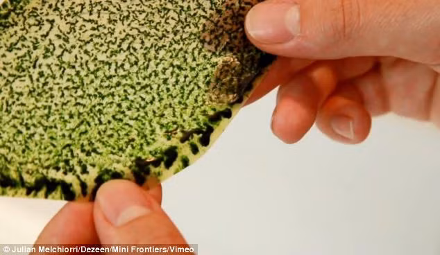 Mr Melchiorri claims that he has made the 