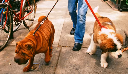 4 việc làm thêm hay ho cho teen mùa hè ảnh 2