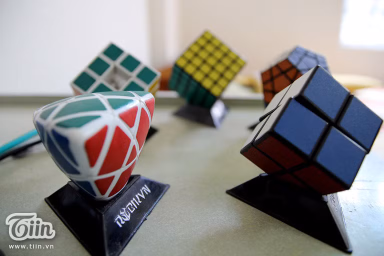 Góc học tập nhiều màu sắc của nam sinh thích bò sát mê chụp ảnh