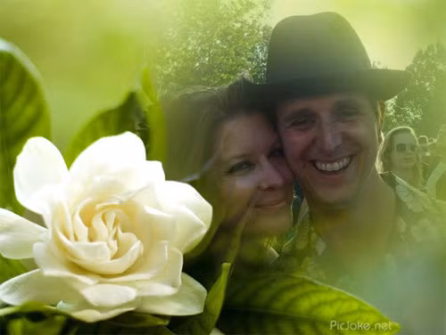 Linh cảm kỳ lạ của hành khách trên chuyến bay MH17 ảnh 2 - 2