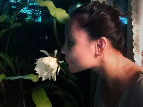 Hoài Lâm lơ ngơ ở HongKong, Hà Hồ phơi chân nơi quán xá ảnh 11 Hồ Ngọc Hà một mình đi ăn chè giữa đêm - 11