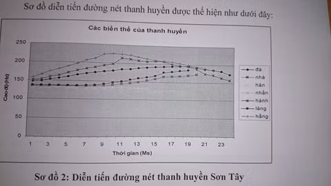 Biểu đồ thanh điệu giọng nói của người Sơn Tây.