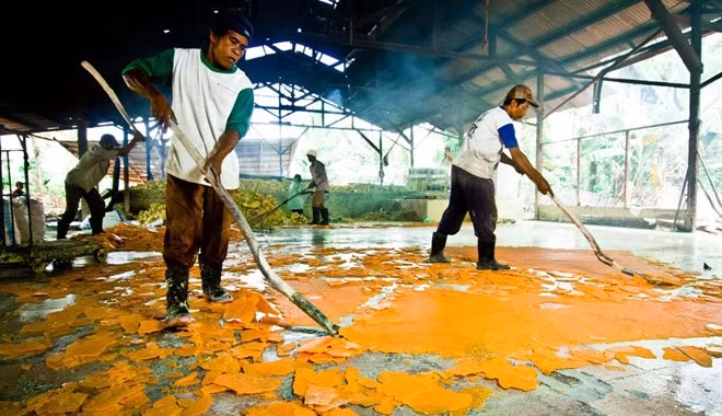 Cuối cùng, lưu huỳnh được phơi khô thành những miếng mỏng trên sàn và đóng gói đem đi bán. Ảnh: BBC.