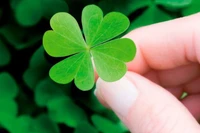 Tử vi 12 cung hoàng đạo ngày 23/2: Song Ngư nhận nhiều niềm vui, Cự Giải năng lượng dồi dào