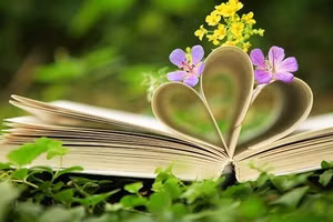 3 cung hoàng đạo tràn trề năng lượng tuần mới từ 11/11 - 17/11