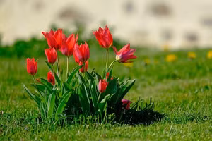 3 con giáp mọi sự khởi sắc, tiền về đầy túi từ ngày 9-15/6