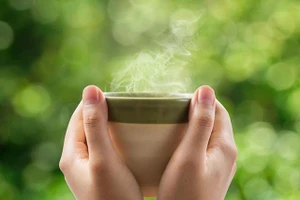 Tử vi 12 con giáp 17/8: Tý tài lộc vào nhanh ra nhan, Sửu tình cảm có tin vui