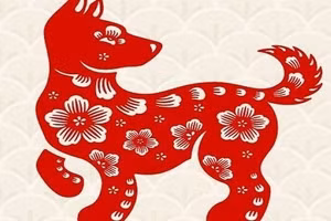 Tử vi tuổi Tuất 2026: Sự nghiệp thăng tiến, tài lộc bùng nổ