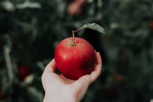 Song Tử đề phòng thị phi, Sư Tử có tin không vui về tài chính ngày 9/9