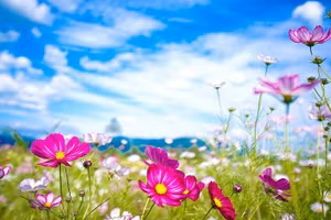 4 con giáp may mắn, vận số đỏ rực, sự nghiệp hanh thông tuần mới 7/4-13/4