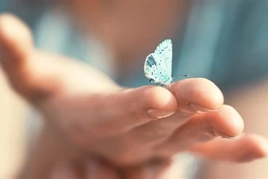 Tử vi 12 con giáp ngày 21/8: Sửu tình cảm sóng gió, Tuất tài chính bất ổn