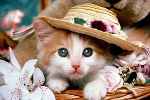 Kim Ngưu hái quả ngọt sau thời gian nỗ lực, Song Ngư dễ tổn thương ngày 27/1