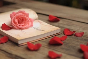 Xử Nữ hãy quẳng đi những ưu tư, sợ hãi, Thiên Bình nhận nhiều tin vui ngày 22/12