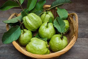 Quả ổi rất giàu chất chống oxy hóa, vitamin C, kali và chất xơ. (Ảnh: ITN)