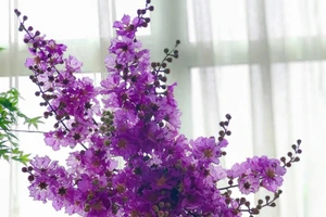 Bạch Dương nhận thành quả tốt đẹp, Thiên Bình gặp rắc rối với đồng nghiệp ngày 6/6